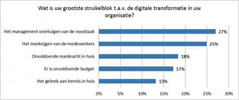 struikelblok