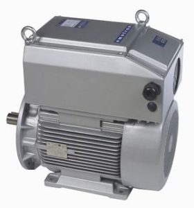 Integraalmotor
