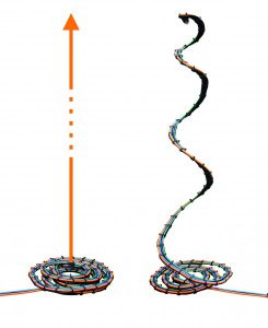 Modulaire kabelrupsband