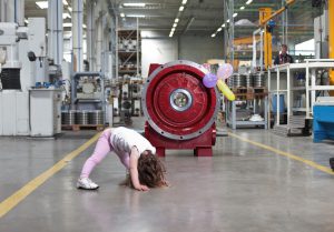 Grote wormreductoren