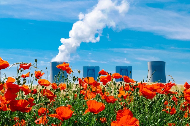 energiecentrale achter klaprozen